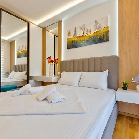 Vip Bogic - Recepcija