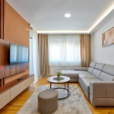 Vip Bogic - Recepcija